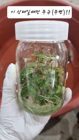 김동수님의 자유주제 · 자유게시판 작성글 사진