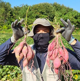 김동수님의 자유주제 · 자유게시판 작성글 사진