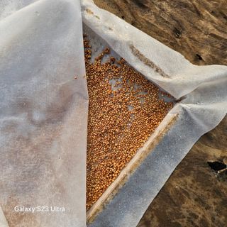 박용열조물주님 님의 자유주제 · 자유게시판 작성글 사진