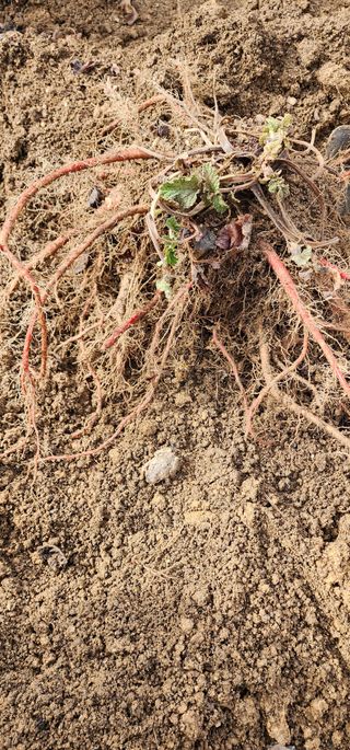박동현님의 작성글 사진
