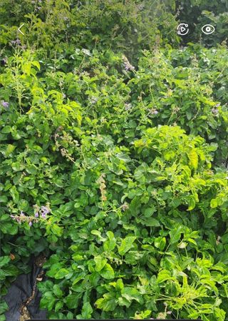 박동현님의 작성글 사진