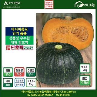 아시아종묘님의 자유주제 · 자유게시판 작성글 사진