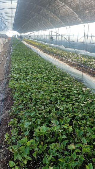 김동수님의 자유주제 · 자유게시판 작성글 사진