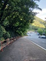 팜모닝 나만의 건강관리 비결·참여글 게시글 이미지