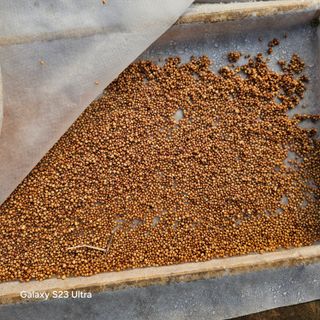 박용열조물주님 님의 자유주제 · 자유게시판 작성글 사진