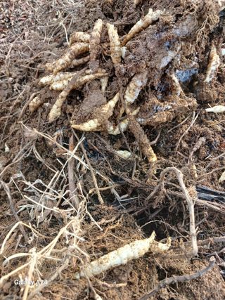 강성흔목사 님의 자유주제 · 자유게시판 작성글 사진