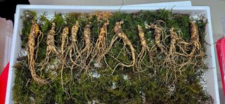 스마일님의 작성글 사진