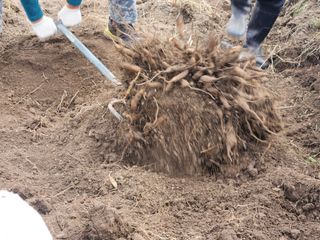 이창신님의 자유주제 · 자유게시판 작성글 사진