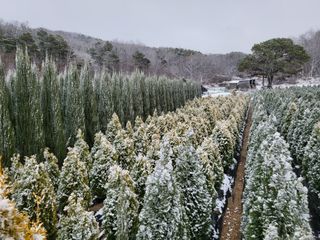 장두학님의 2024년 출석왕중왕 결과 공유해요 👑 · 참여글 작성글 사진