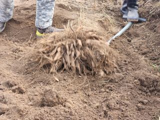 이창신님의 자유주제 · 자유게시판 작성글 사진