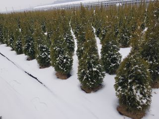 영천경마장조경수농원님의 2024년 출석왕중왕 결과 공유해요 👑 · 참여글 작성글 사진