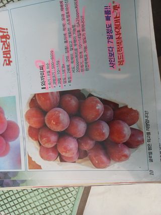 Sang2719님의 자유주제 · 자유게시판 작성글 사진