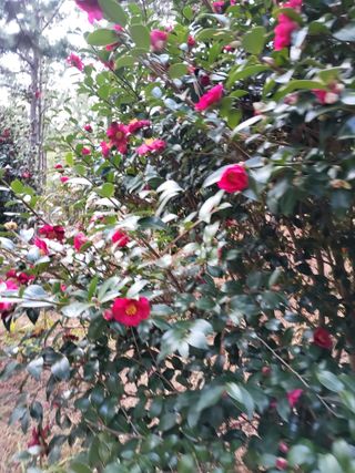 최유순님의 자유주제 · 자유게시판 작성글 사진