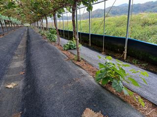 Sang2719님의 자유주제 · 자유게시판 작성글 사진