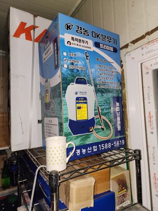 배추12035.부남님의 자유주제 · 자유게시판 작성글 사진