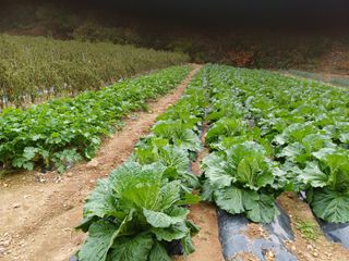 전택경님의 2024년 출석왕중왕 결과 공유해요 👑 · 참여글 작성글 사진