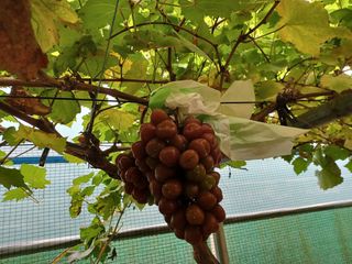 Sang2719님의 자유주제 · 자유게시판 작성글 사진