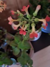 팜모닝 2024년 출석왕중왕 결과 공유해요 👑·참여글 게시글 이미지