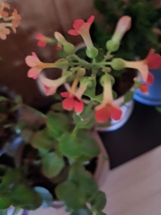 정성교님의 2024년 출석왕중왕 결과 공유해요 👑 · 참여글 작성글 사진