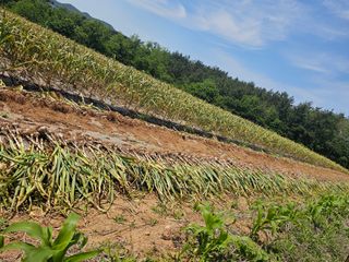 전명선님의 2024년 출석왕중왕 결과 공유해요 👑 · 참여글 작성글 사진