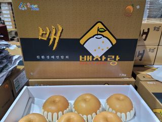 장재농원 최재석님의 2024년 출석왕중왕 결과 공유해요 👑 · 참여글 작성글 사진