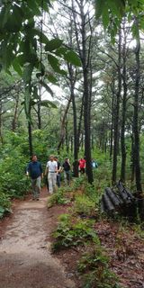 팜모닝 2024년 출석왕중왕 결과 공유해요 👑·참여글 게시글 이미지