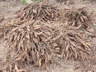 이창신님의 자유주제 · 자유게시판 작성글 사진