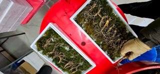 스마일님의 작성글 사진