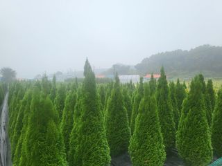 장두학님의 2024년 출석왕중왕 결과 공유해요 👑 · 참여글 작성글 사진