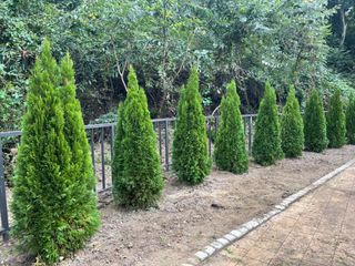 장두학님의 2024년 출석왕중왕 결과 공유해요 👑 · 참여글 작성글 사진