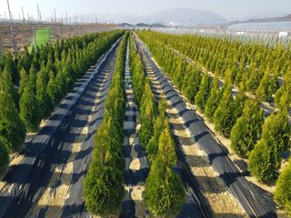 영천경마장조경수농원님의 2024년 출석왕중왕 결과 공유해요 👑 · 참여글 작성글 사진