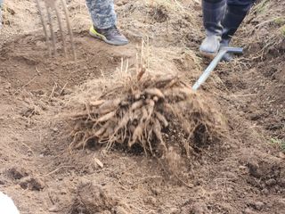 이창신님의 자유주제 · 자유게시판 작성글 사진