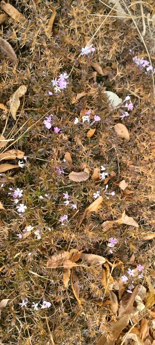 김감자님의 2024년 출석왕중왕 결과 공유해요 👑 · 참여글 작성글 사진