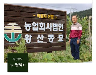 대산농사대장님의 감자 · 자유게시판 작성글 사진