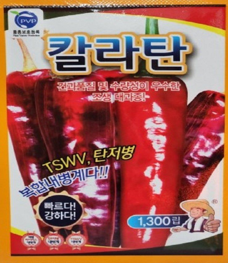 장터 상품 [칼라탄 1300립  사카타코리아] 썸네일