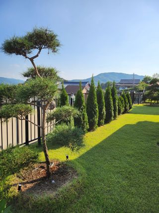 장두학님의 2024년 출석왕중왕 결과 공유해요 👑 · 참여글 작성글 사진