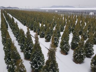 영천경마장조경수농원님의 2024년 출석왕중왕 결과 공유해요 👑 · 참여글 작성글 사진