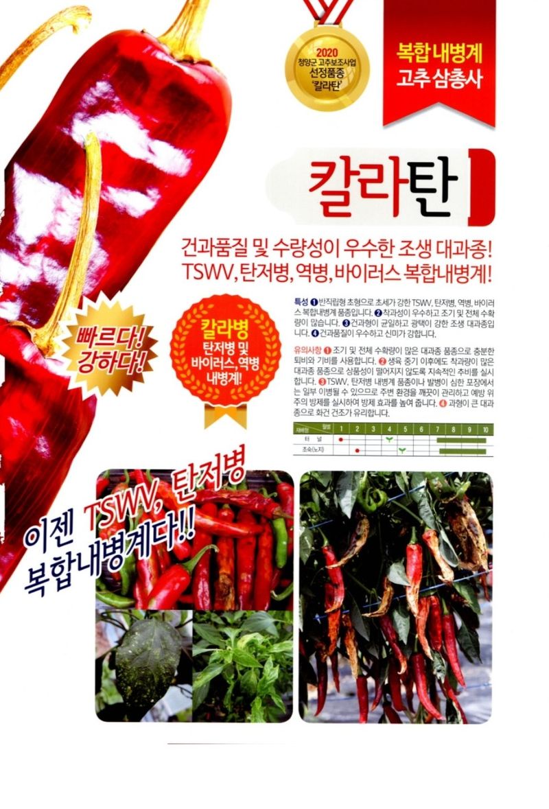 대산농사대장님의 장터 판매 상품 [칼라탄 1300립  사카타코리아] 첨부 사진