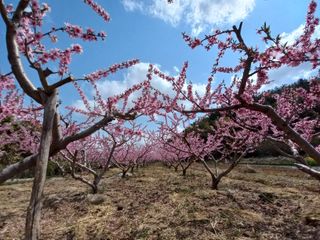 갑산 아리랑님의 2024년 출석왕중왕 결과 공유해요 👑 · 참여글 작성글 사진