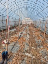 팜모닝 자유주제·자유게시판 게시글 이미지