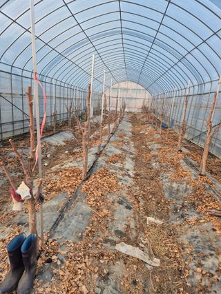 가인 5362님의 자유주제 · 자유게시판 작성글 사진