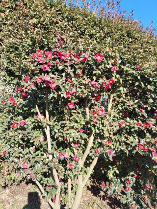 최유순님의 자유주제 · 자유게시판 작성글 사진