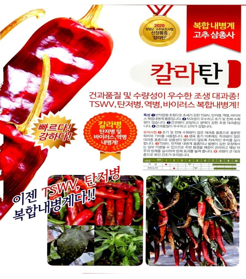 대산농사대장님의 장터 판매 상품 [칼라탄 1300립  사카타코리아] 첨부 사진