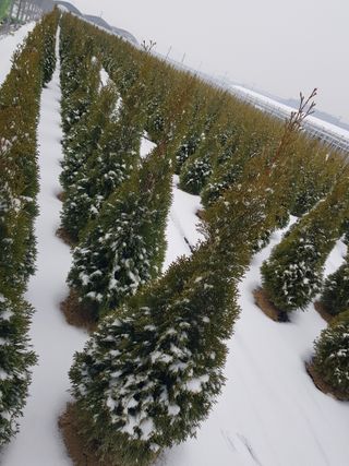 영천경마장조경수농원님의 2024년 출석왕중왕 결과 공유해요 👑 · 참여글 작성글 사진