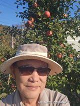 팜모닝 2024년 출석왕중왕 결과 공유해요 👑·참여글 게시글 이미지