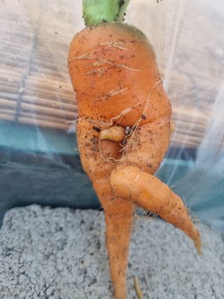 포도15264님의 자유주제 · 자유게시판 작성글 사진