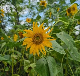 전명선님의 2024년 출석왕중왕 결과 공유해요 👑 · 참여글 작성글 사진
