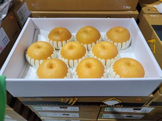 장재농원 최재석님의 2024년 출석왕중왕 결과 공유해요 👑 · 참여글 작성글 사진