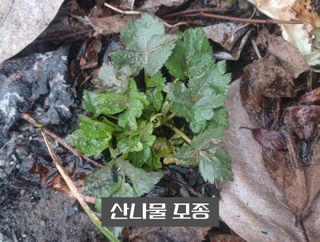 무료지식나눔 팜닥터님의 자유주제 · 사진전 작성글 사진