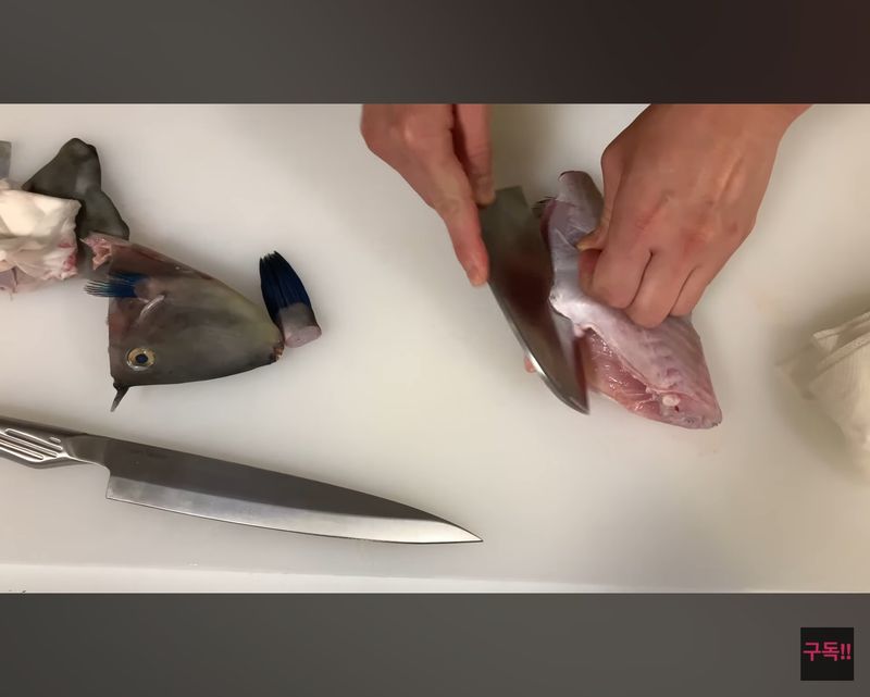 김진국님의 장터 판매 상품 [국내산 참돔회 도미 필렛 숙성회 2kg 3kg 매운탕용 머리,뼈 매운탕 소스 제공] 첨부 사진